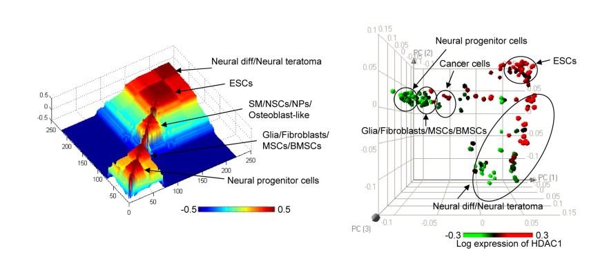 Microsoft PowerPoint - HDAC1 Figures_EDIT 9-5-2011