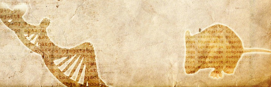 bk-graphic-3-FINAL1-paper copy