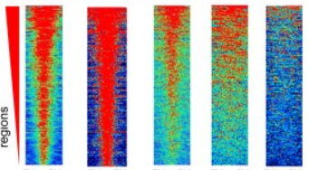 H4K20me3_bivalent_heatmap