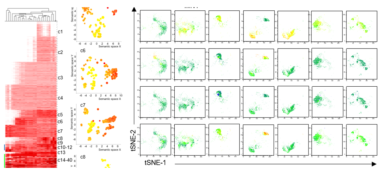 oncogene_thumbnail-1